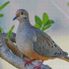 Mourning Dove Diamond Painting