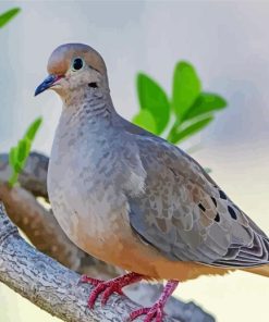 Mourning Dove Diamond Painting