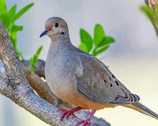 Mourning Dove Diamond Painting