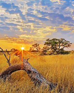 Sunrise In Kalahari Desert Diamond Painting