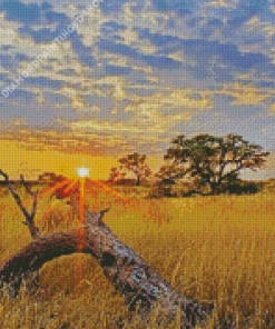Sunrise In Kalahari Desert Diamond Painting