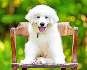 White Great Pyrenees Diamond Painting