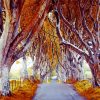 Autumn Dark Hedges Diamond Painting