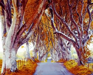 Autumn Dark Hedges Diamond Painting