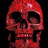 Black Red Skull Diamond Painting