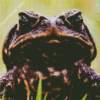 Brown Angry Toad Diamond Painting