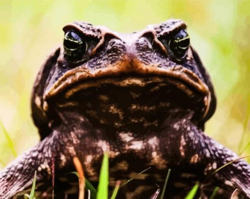 Brown Angry Toad Diamond Painting