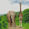 Elephant And Giraffes In The Forest Diamond Painting