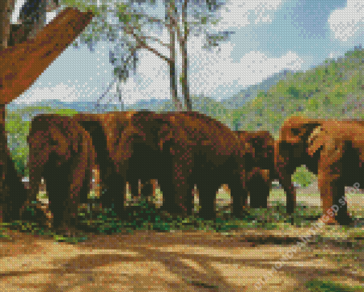 Elephants In Thailand Park Diamond Painting