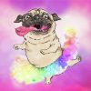 Rainbow Pug Art Diamond Painting