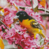 Baltimore Oriole And Pink Blossoms Diamond Painting