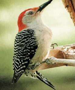 Downy Woodpecker Diamond Painting