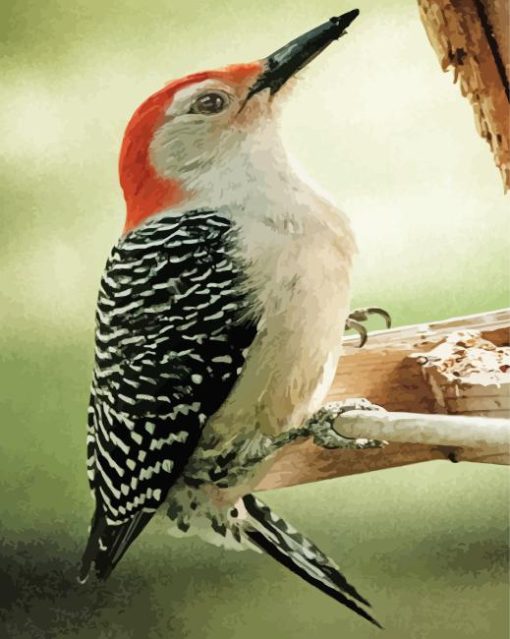 Downy Woodpecker Diamond Painting