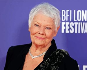 Judi Dench Actress Diamond Painting