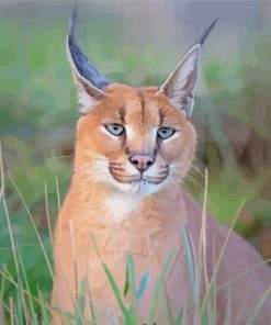 Wildcat Caracal Animal Diamond Painting