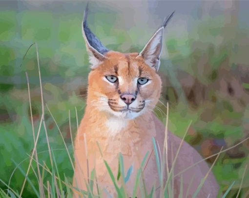 Wildcat Caracal Animal Diamond Painting