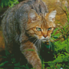 Wildcat In Nature Diamond Painting