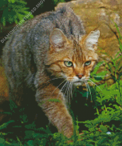 Wildcat In Nature Diamond Painting