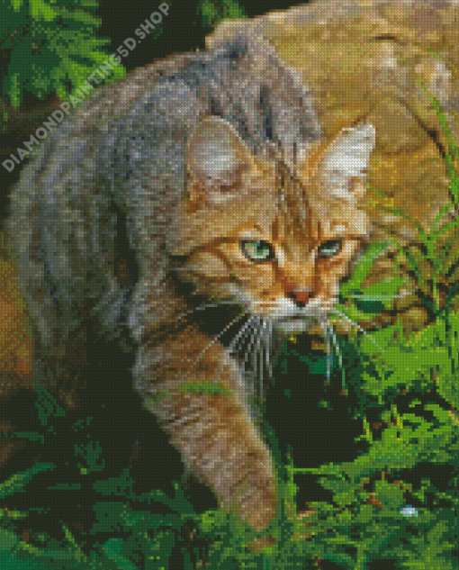 Wildcat In Nature Diamond Painting