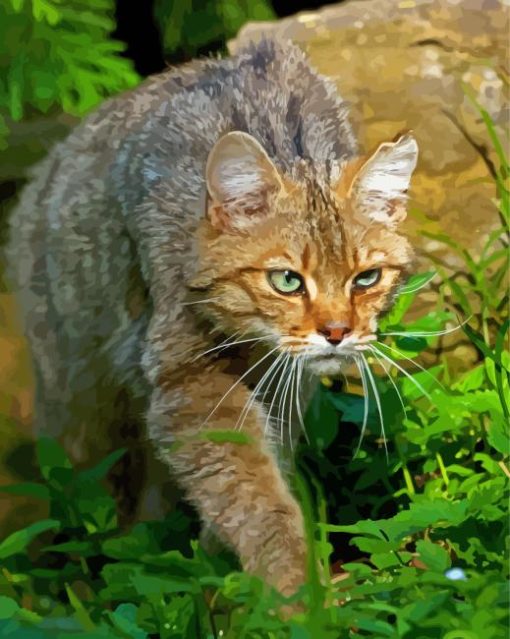 Wildcat In Nature Diamond Painting