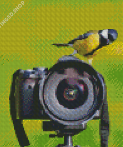 Bird On Camera Diamond Painting