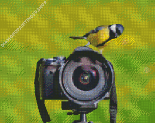 Bird On Camera Diamond Painting