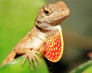 Brown Anole Lizard Diamond Painting