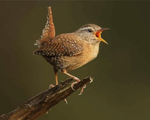 English Wren On Tree Diamond Painting