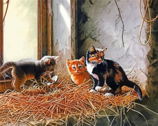 Kittens In Barn Diamond Painting
