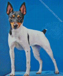 Miniature Fox Terrier Diamond Painting