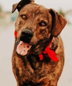 Mountain Cur With Scarf Diamond Painting