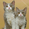 Selkirk Rex Kitten Diamond Painting