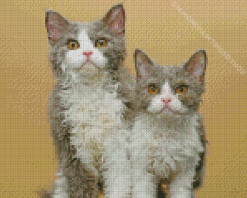 Selkirk Rex Kitten Diamond Painting