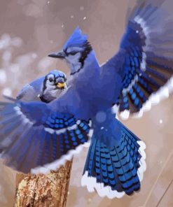 Two Blue Jay In Winter Diamond Painting