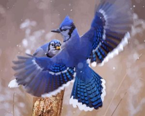 Two Blue Jay In Winter Diamond Painting