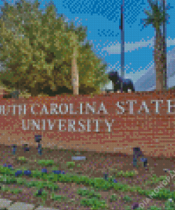 University Of South Carolina Diamond Painting
