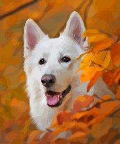 White Swiss Shepherd Dog Diamond Painting