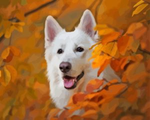 White Swiss Shepherd Dog Diamond Painting