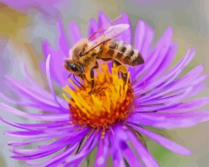 Purple Flower With Bee Diamond Painting