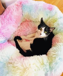 Rainbow Cat Bed Diamond Painting
