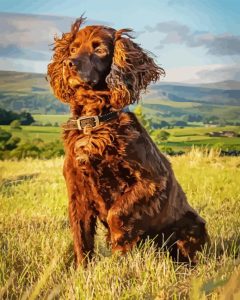 Working Spaniel Diamond Painting