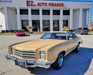 Beige 76 Monte Carlo Diamond Painting