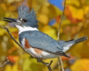 Belted Kingfisher Bird Diamond Painting