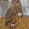 Eurasian Eagle Owl Bird Diamond Painting