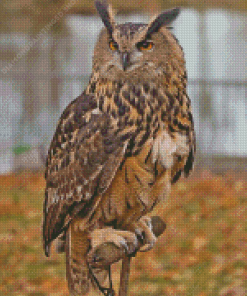 Eurasian Eagle Owl Bird Diamond Painting