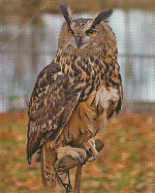 Eurasian Eagle Owl Bird Diamond Painting