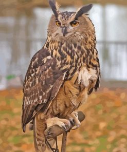 Eurasian Eagle Owl Bird Diamond Painting