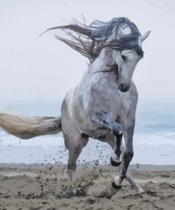 Grey Horse At The Beach Diamond Painting