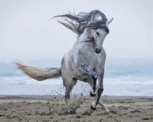 Grey Horse At The Beach Diamond Painting