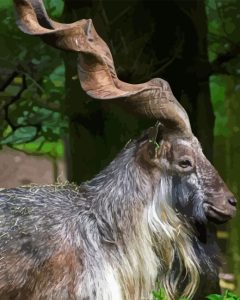 Markhor Animal Diamond Painting